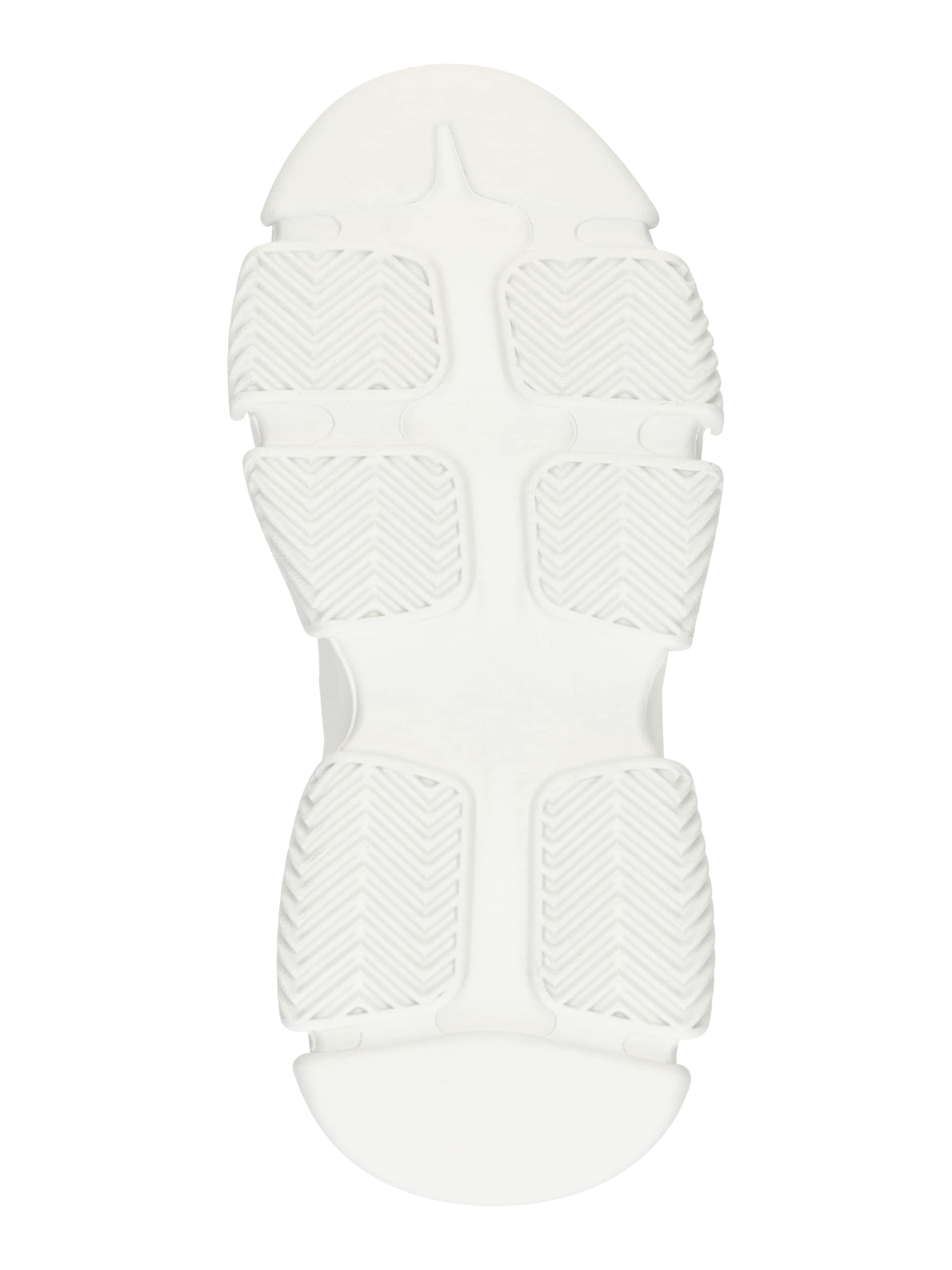 STEVE MADDEN Nizke superge 'Dragon' | bela barva: spodaj