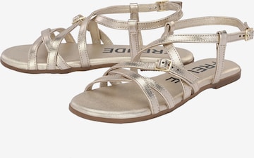 FREUDE Strap Sandals 'Antares' in Gold