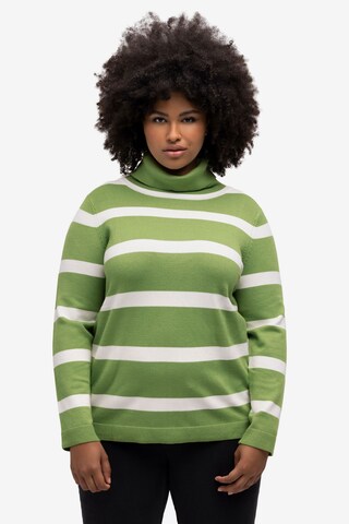 Pullover di Ulla Popken in verde: frontale