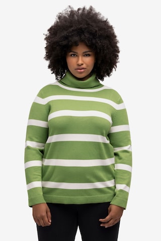 Ulla Popken Sweater in Green: front