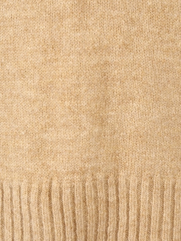 Mavi Sweater in Beige