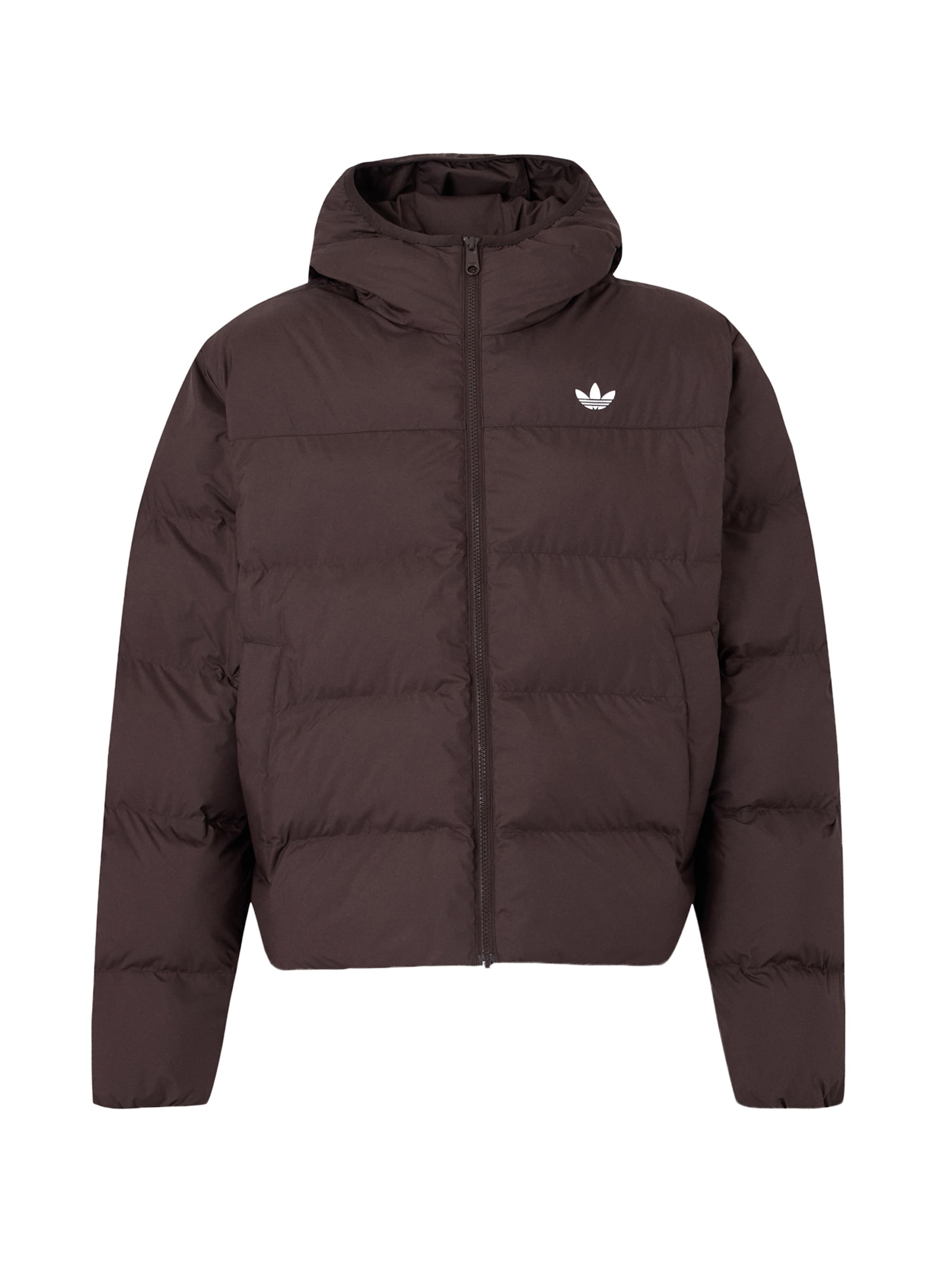 ADIDAS ORIGINALS Vinterjakke i brun: forside