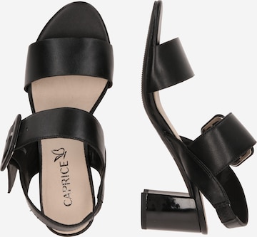 CAPRICE Sandals in Black