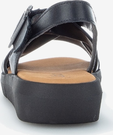 GABOR Strap Sandals in Black