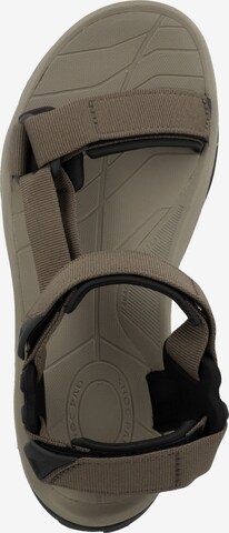 TEVA Sandals 'Terra' in Brown