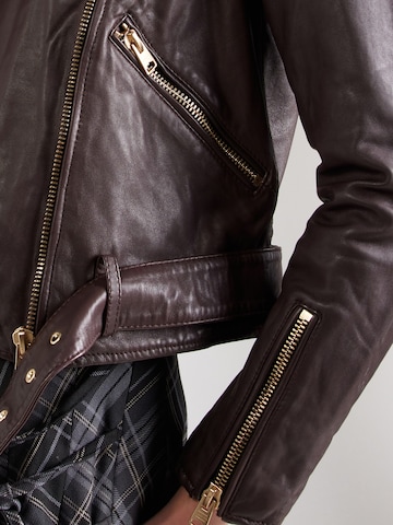 AllSaints Between-season jacket 'Balfern' in Red