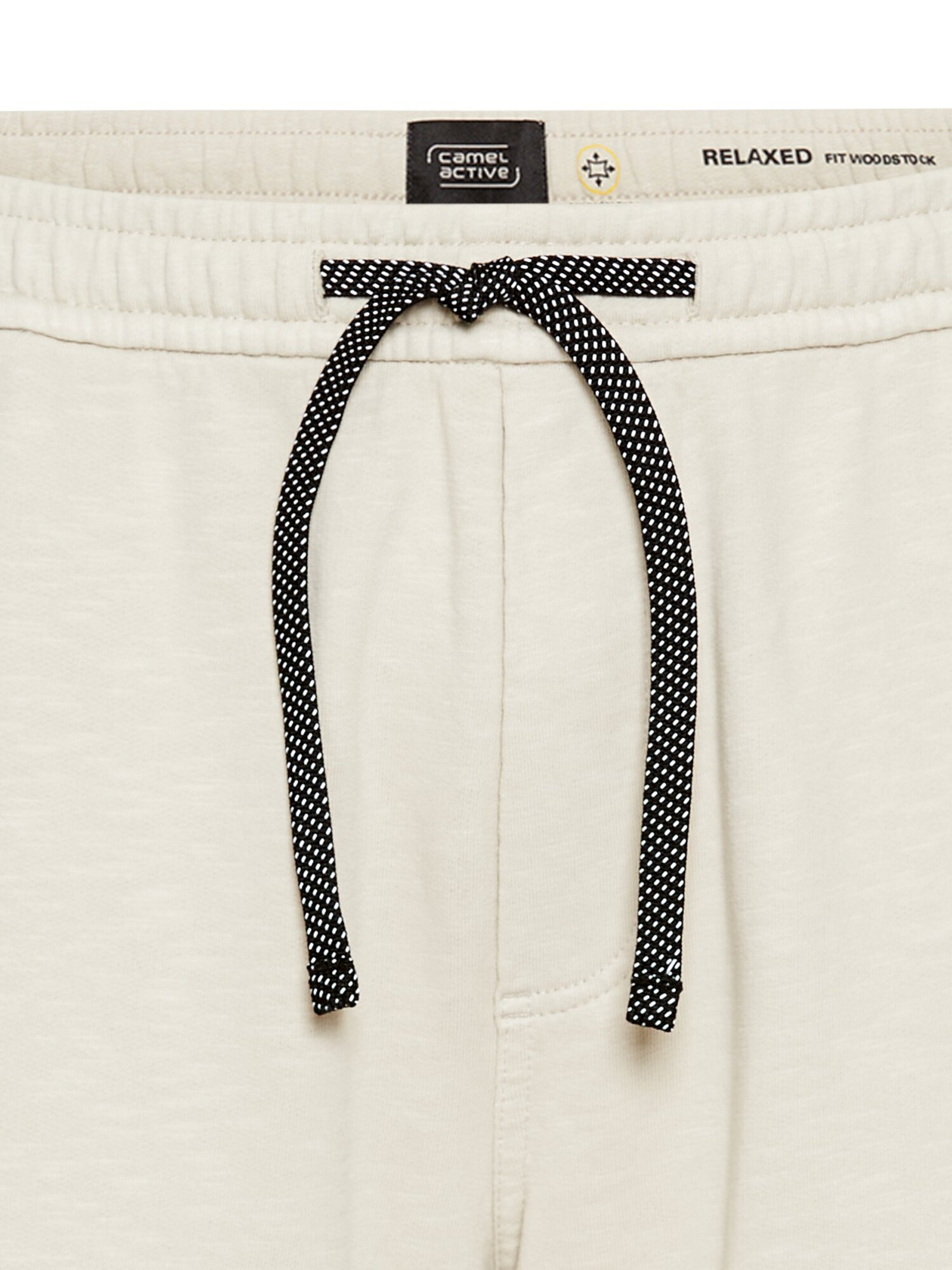 CAMEL ACTIVE Loose fit Chino Pants in Beige