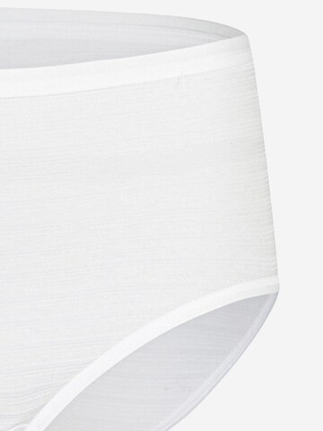 SPEIDEL Slip 'Cotton & More' in Wit