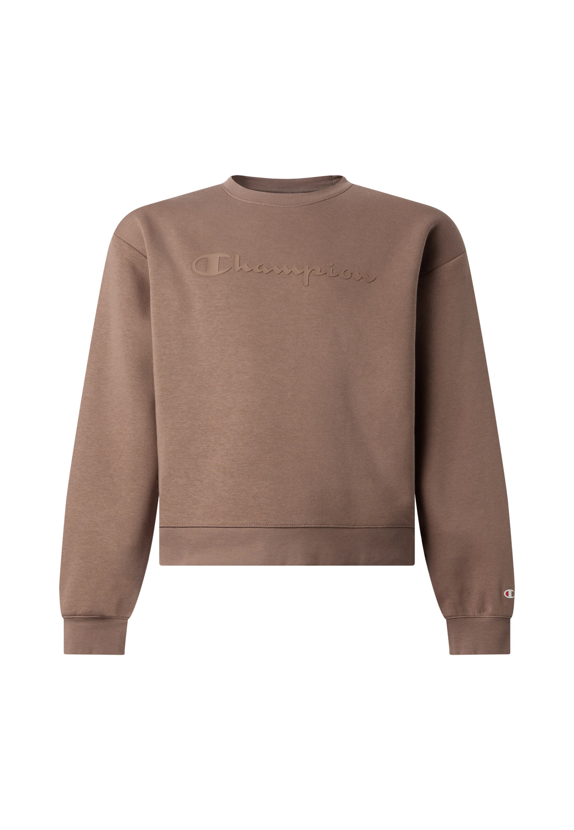 Champion Sweatshirt in Brown: front