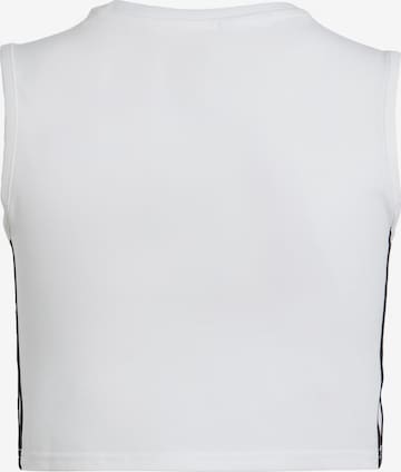 T-Shirt 'Adicolor ' ADIDAS ORIGINALS en blanc