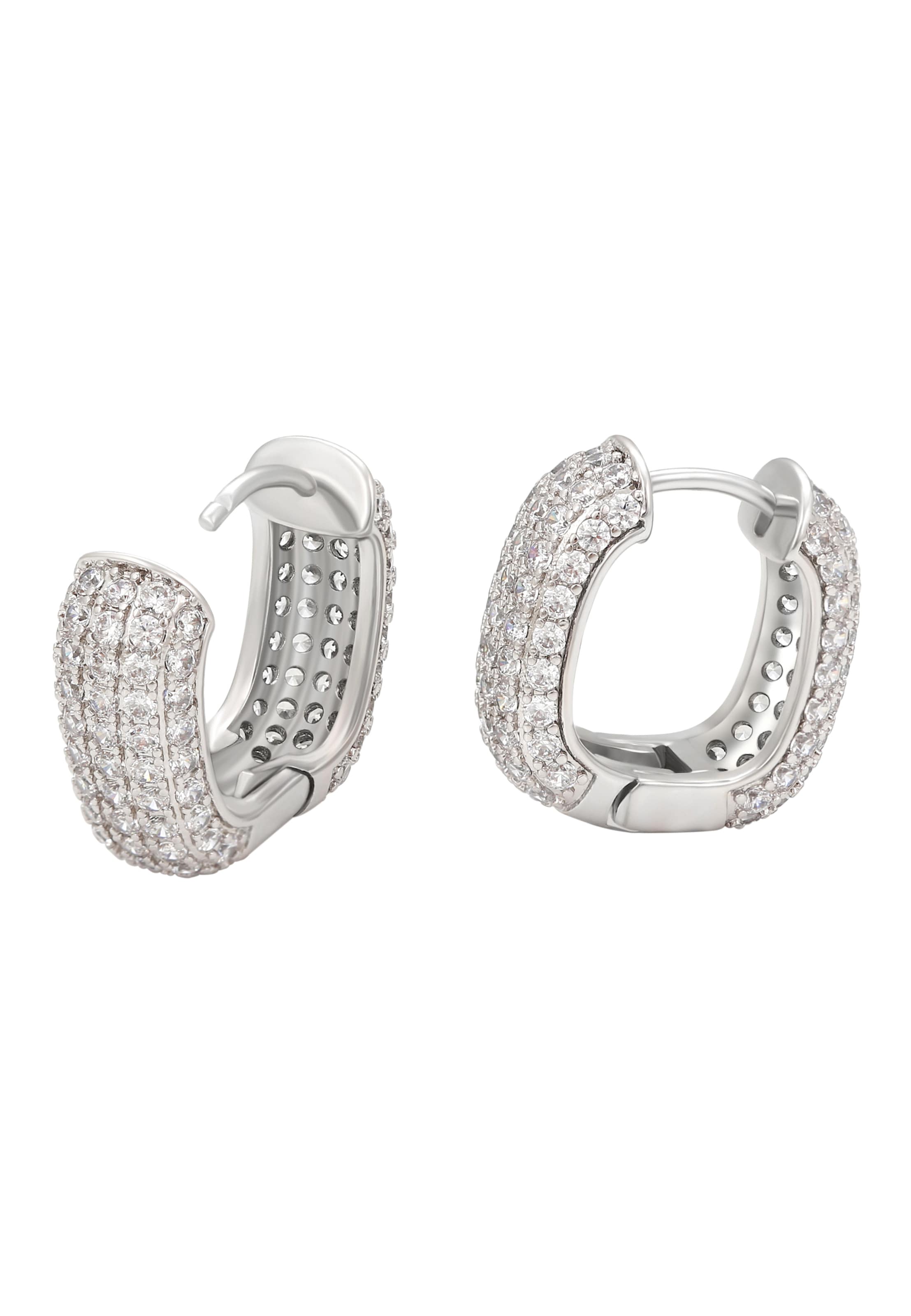 faina Earrings in Silver