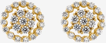 Boucles d'oreilles 'Penelope' Heideman en or : devant