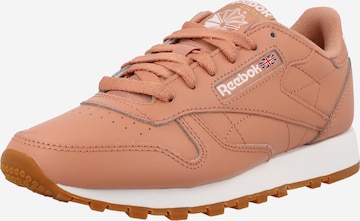 Reebok Sneakers in Orange: front