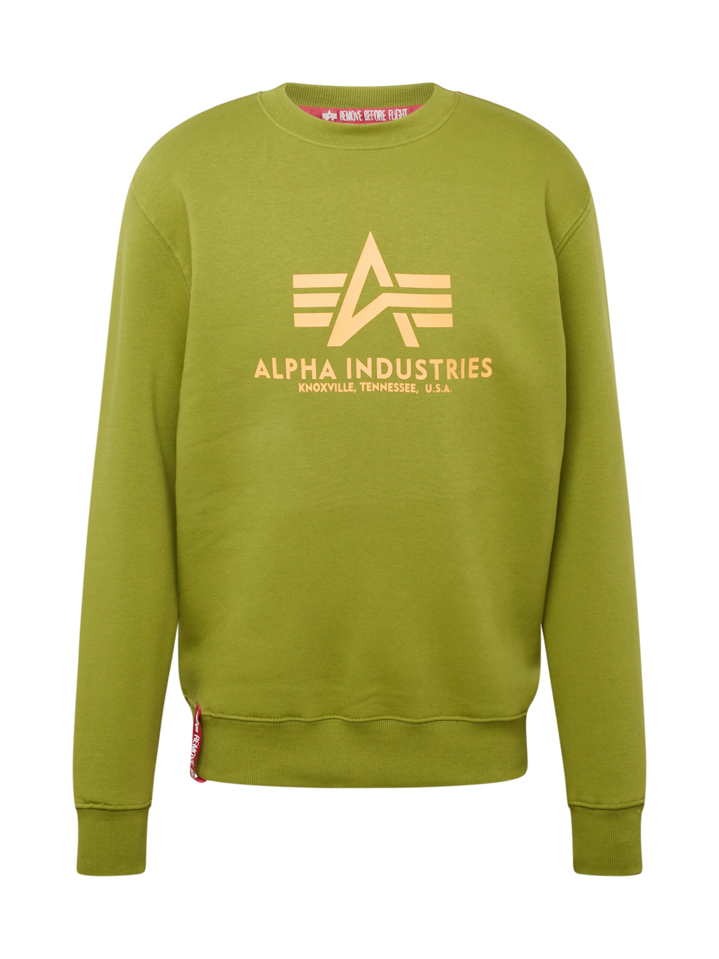 ALPHA INDUSTRIES Sweatshirt in Grün: Vorderseite
