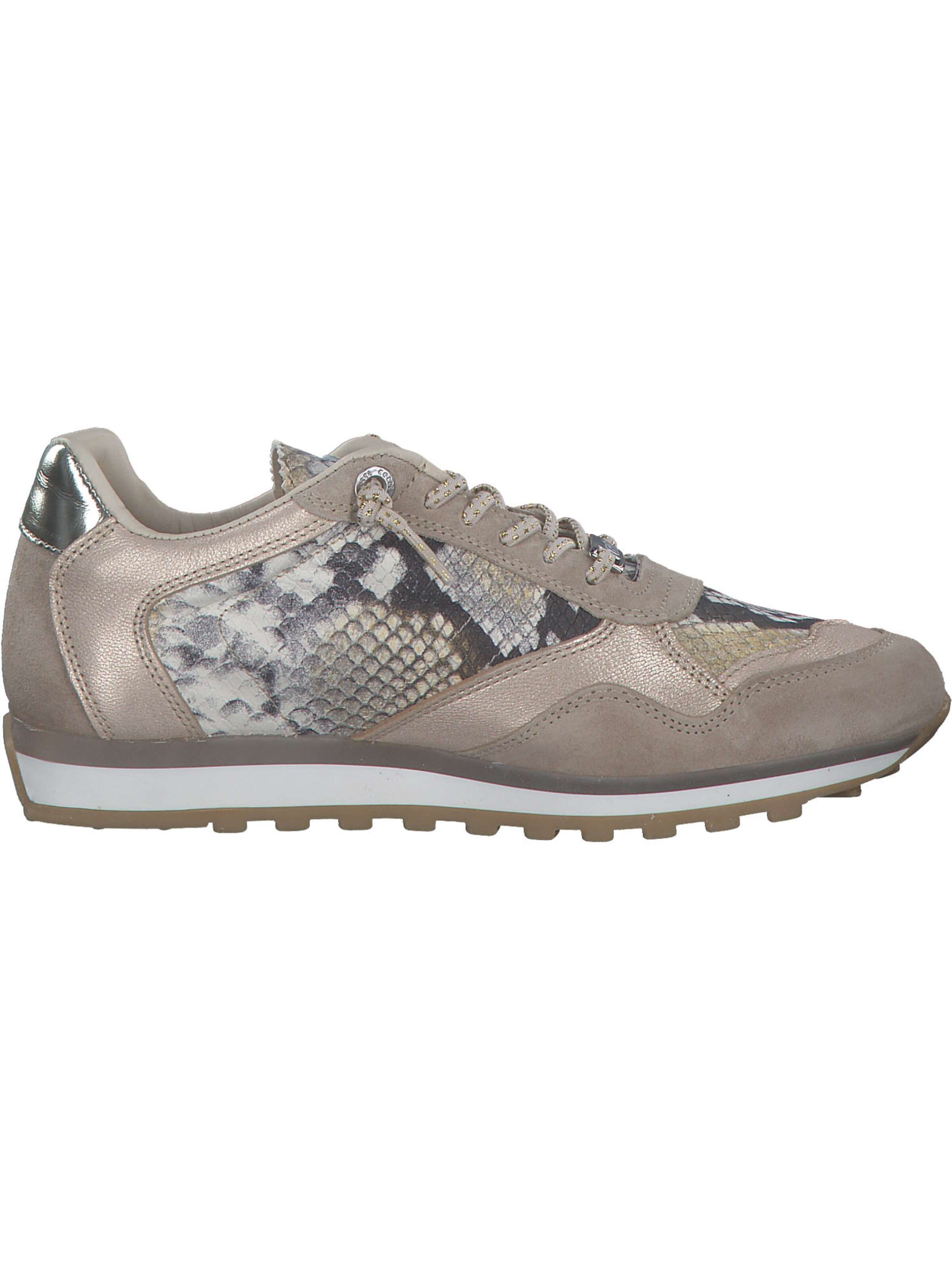 Cetti Sneaker in Braun