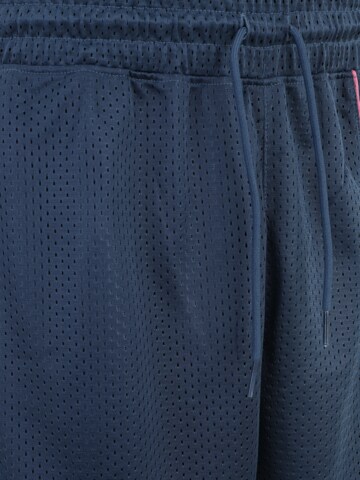 ADIDAS PERFORMANCE Regularen Športne hlače 'Worldwide Hoops Creator 365' | modra barva