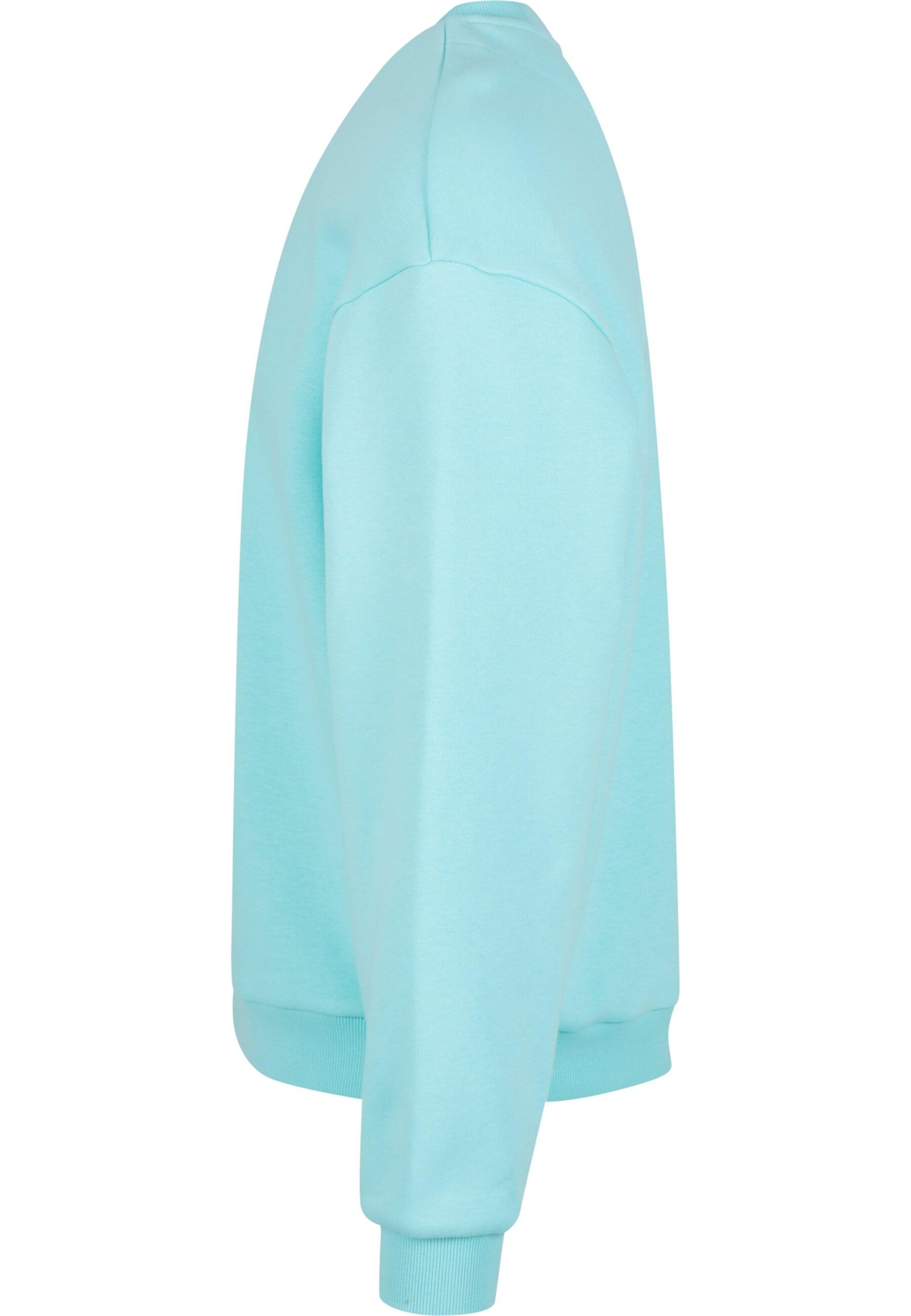 Urban Classics Sweatshirt in Blue