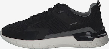 GEOX Sneakers laag 'U Grecale C' in Zwart