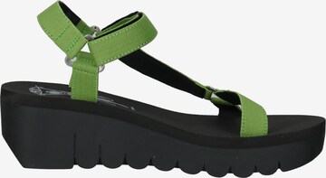 FLY LONDON Strap Sandals in Green