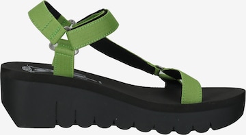 FLY LONDON Strap Sandals in Green