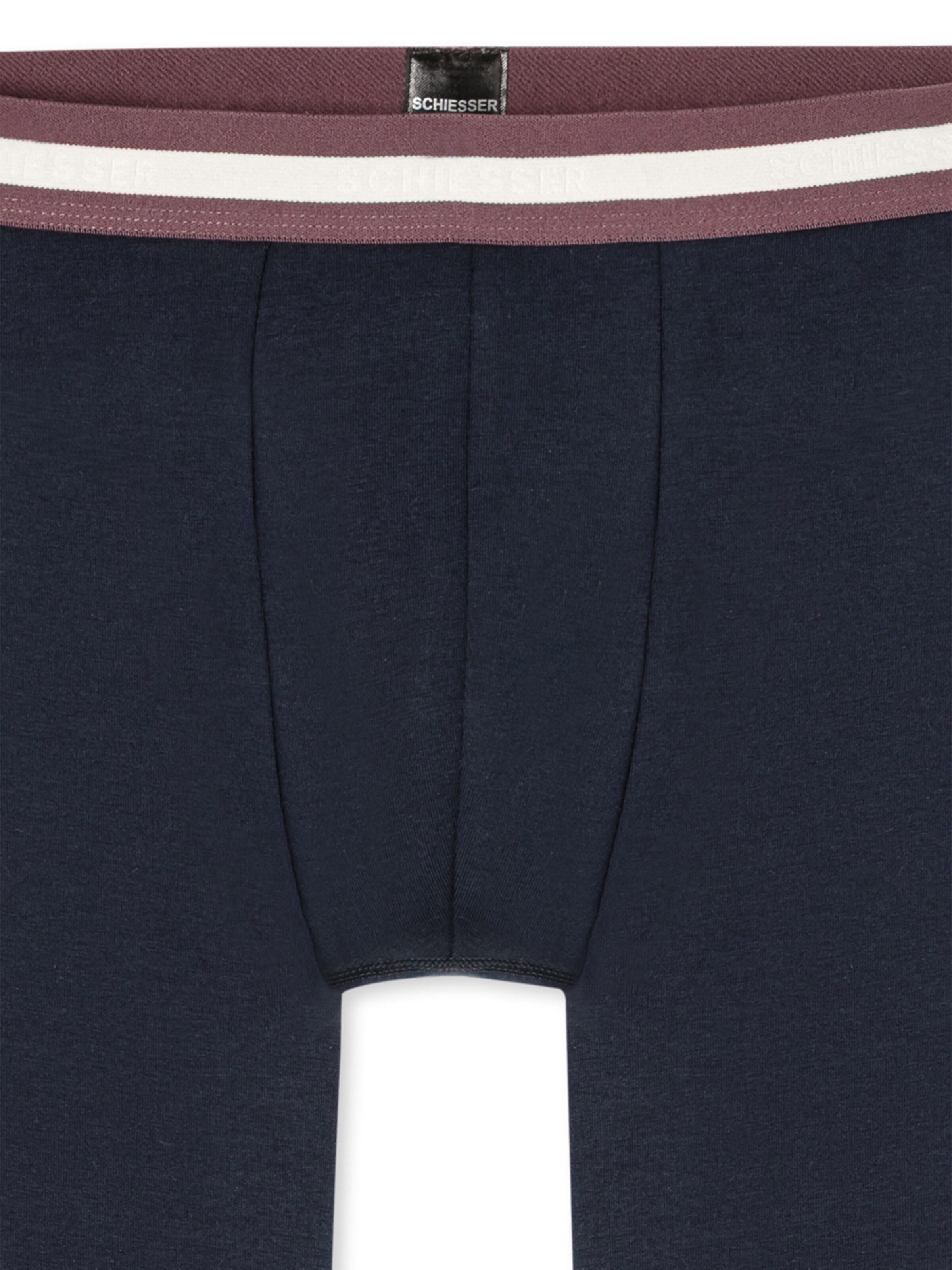 Sous-vêtements ' 95/5 ' SCHIESSER en bleu