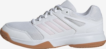 Chaussure de sport 'Speedcourt' ADIDAS PERFORMANCE en blanc : devant