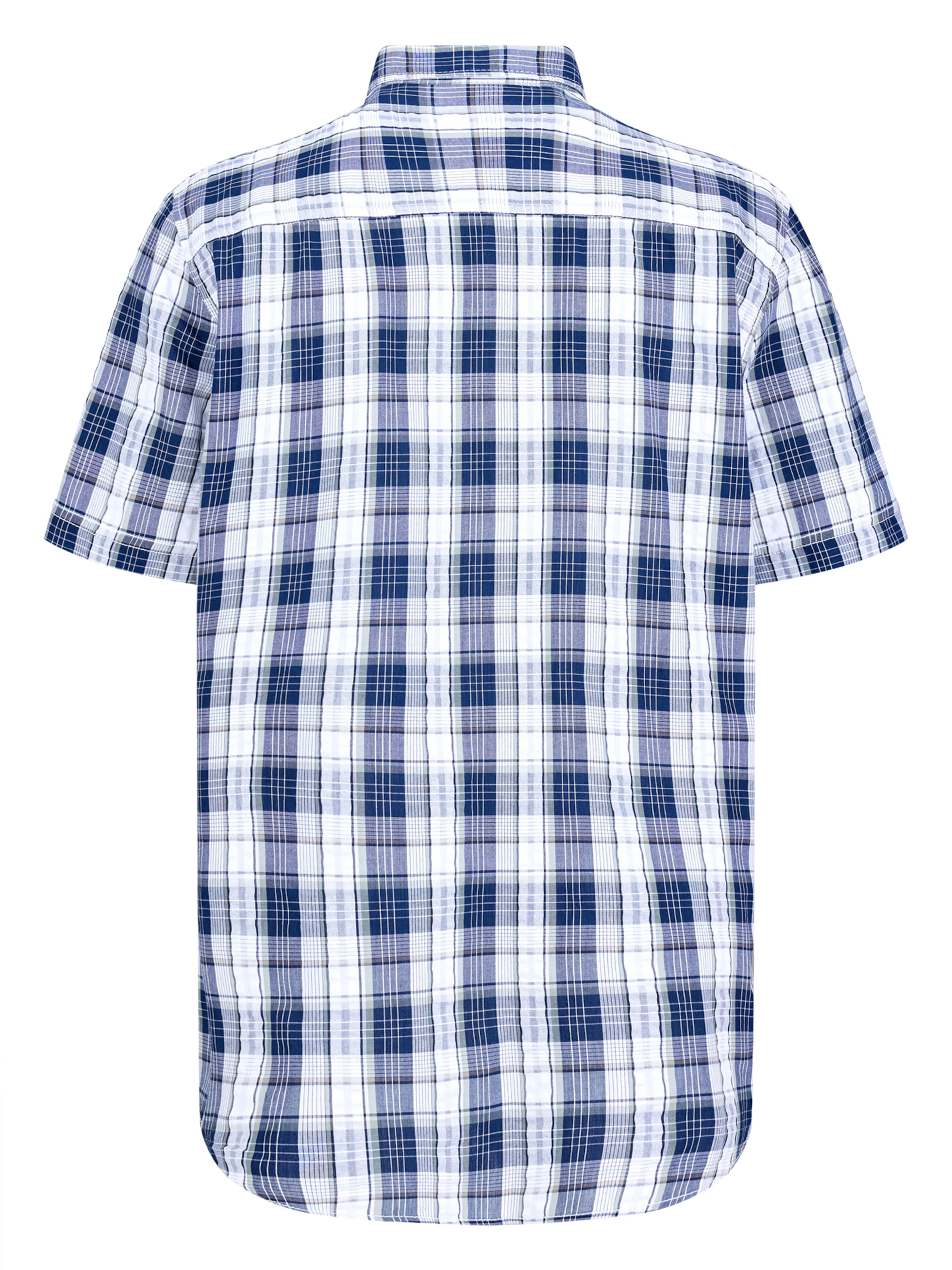 PADDOCKS Regular Fit Hemd in Blau