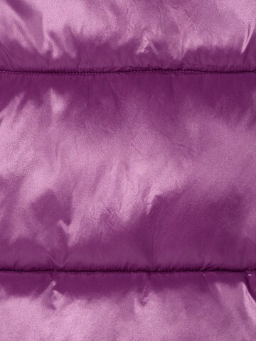 SAVE THE DUCK Winter jacket ' Isla ' in Purple