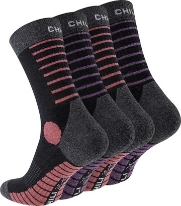 Chili Lifestyle Socks ' Hike ' in Pink