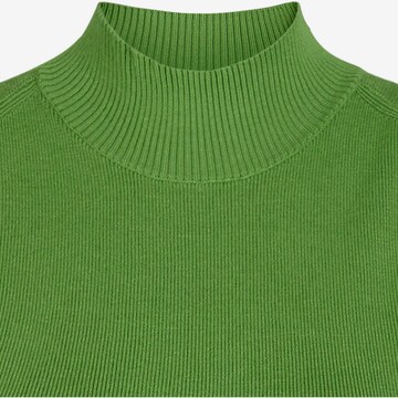 BRUUNS BAZAAR Sweater 'Anemone' in Green