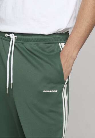 Pegador Regular Broek 'Viro' in Groen