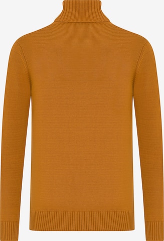 DENIM CULTURE Pullover 'Jason' i orange