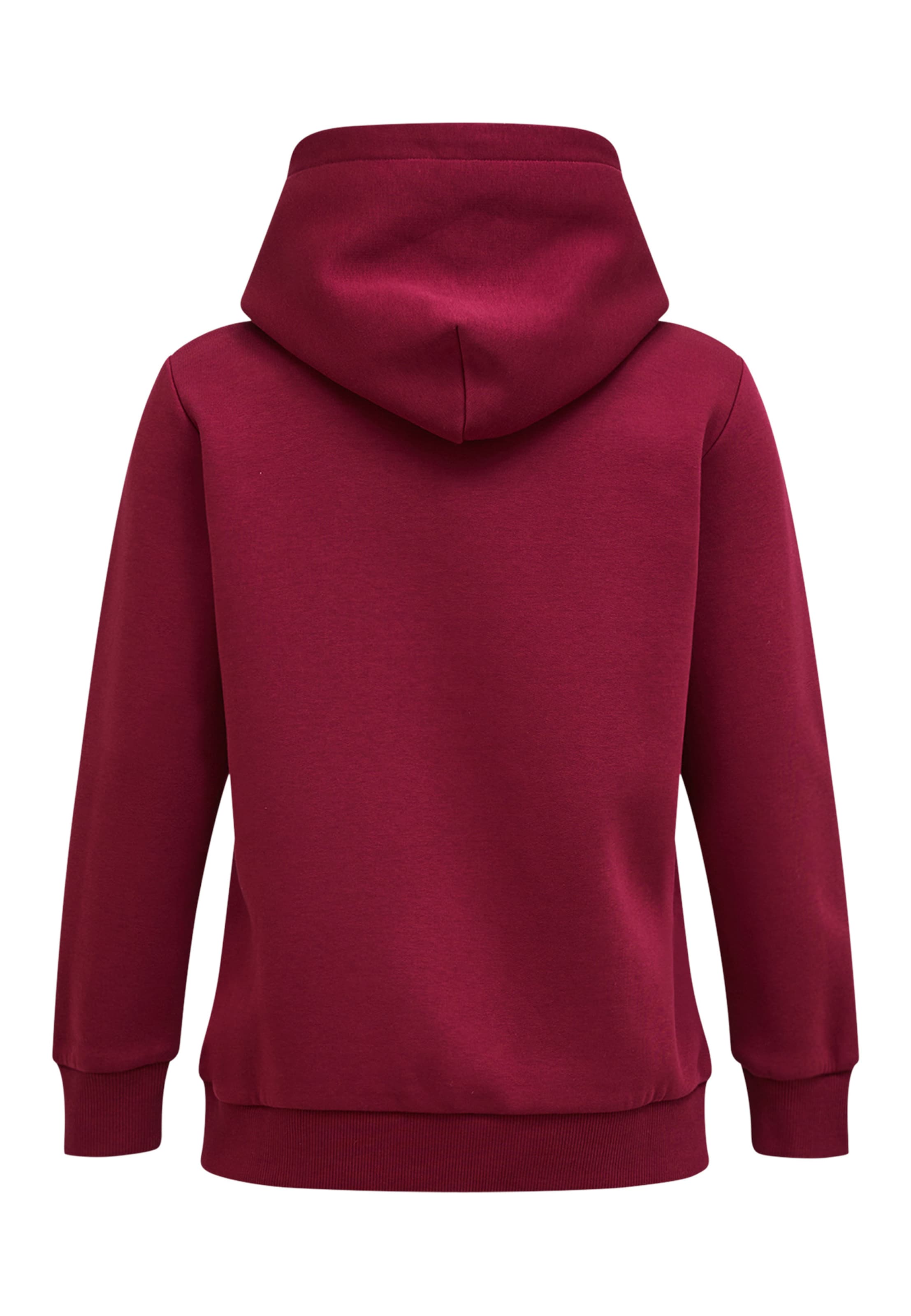 PEAK PERFORMANCE Sweatshirt in Rood