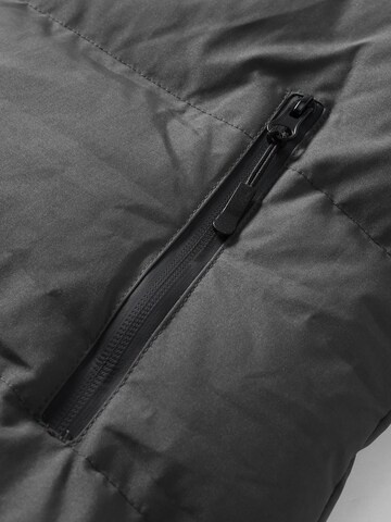 ALLTHEMEN Winter Coat 'Flaum' in Grey
