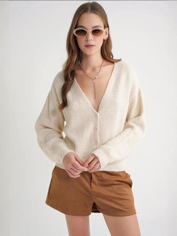 MixRay Knit Cardigan in Beige