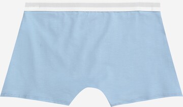 Tommy Hilfiger Underwear Regular Boxershorts in Blau