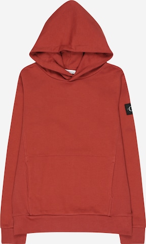 Calvin Klein Jeans Sweatshirt in Rot: predná strana