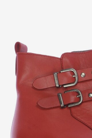 Mulberry Stiefelette 39 in Rot