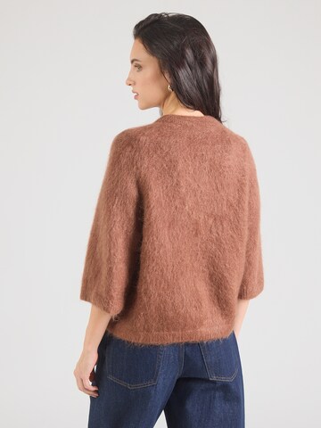 Pull-over & Other Stories en marron