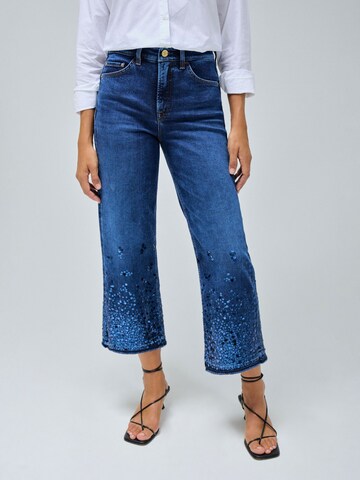 Skinny Jean 'Faith' Salsa Jeans en bleu : devant