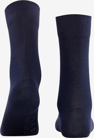 FALKE Socken in Blau