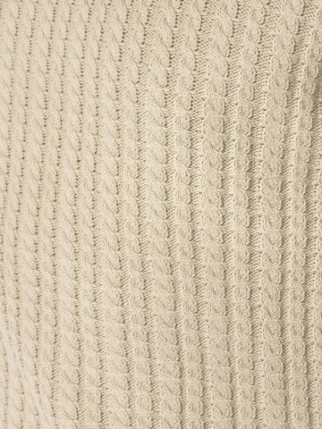 No Excess Trui in Beige