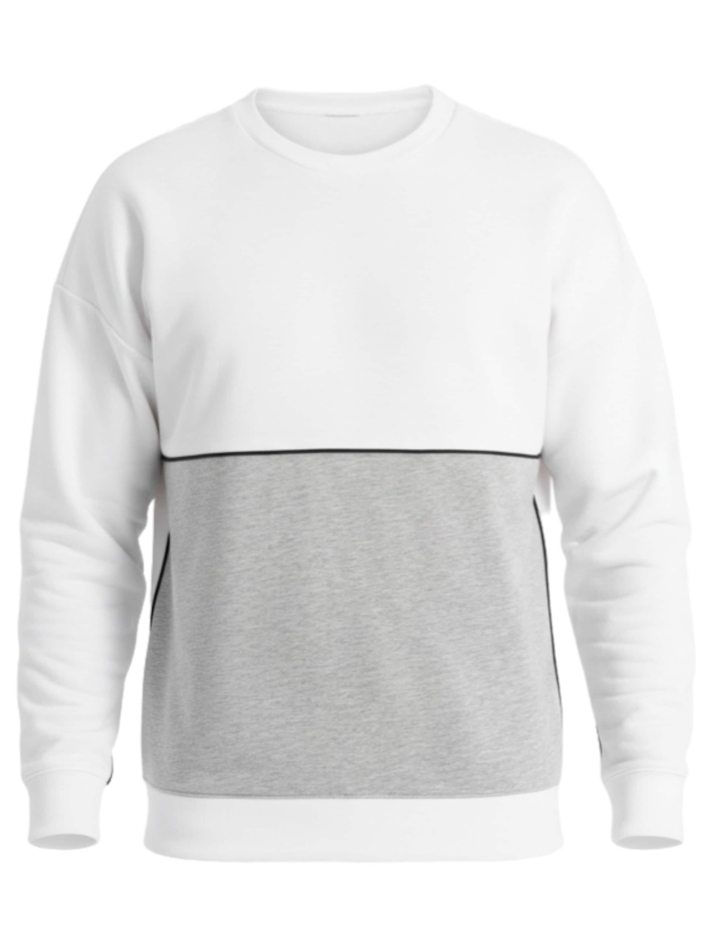 Ombre Sweat-shirt en gris / blanc, Vue avec produit