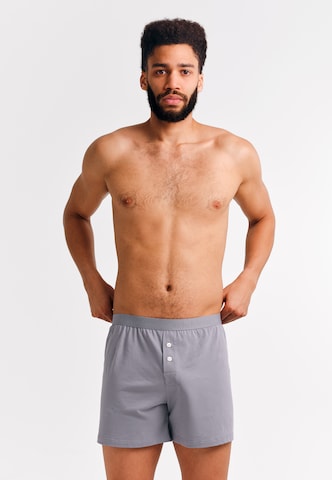 Boxers Erlich Textil en gris : devant