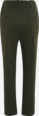 Attesa Regular Trousers 'CLARA' in Green