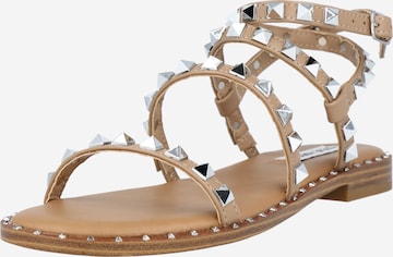 Sandalo con cinturino 'TRAVEL' di STEVE MADDEN in marrone: frontale