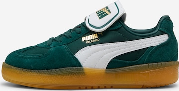 Baskets basses PUMA en vert : devant