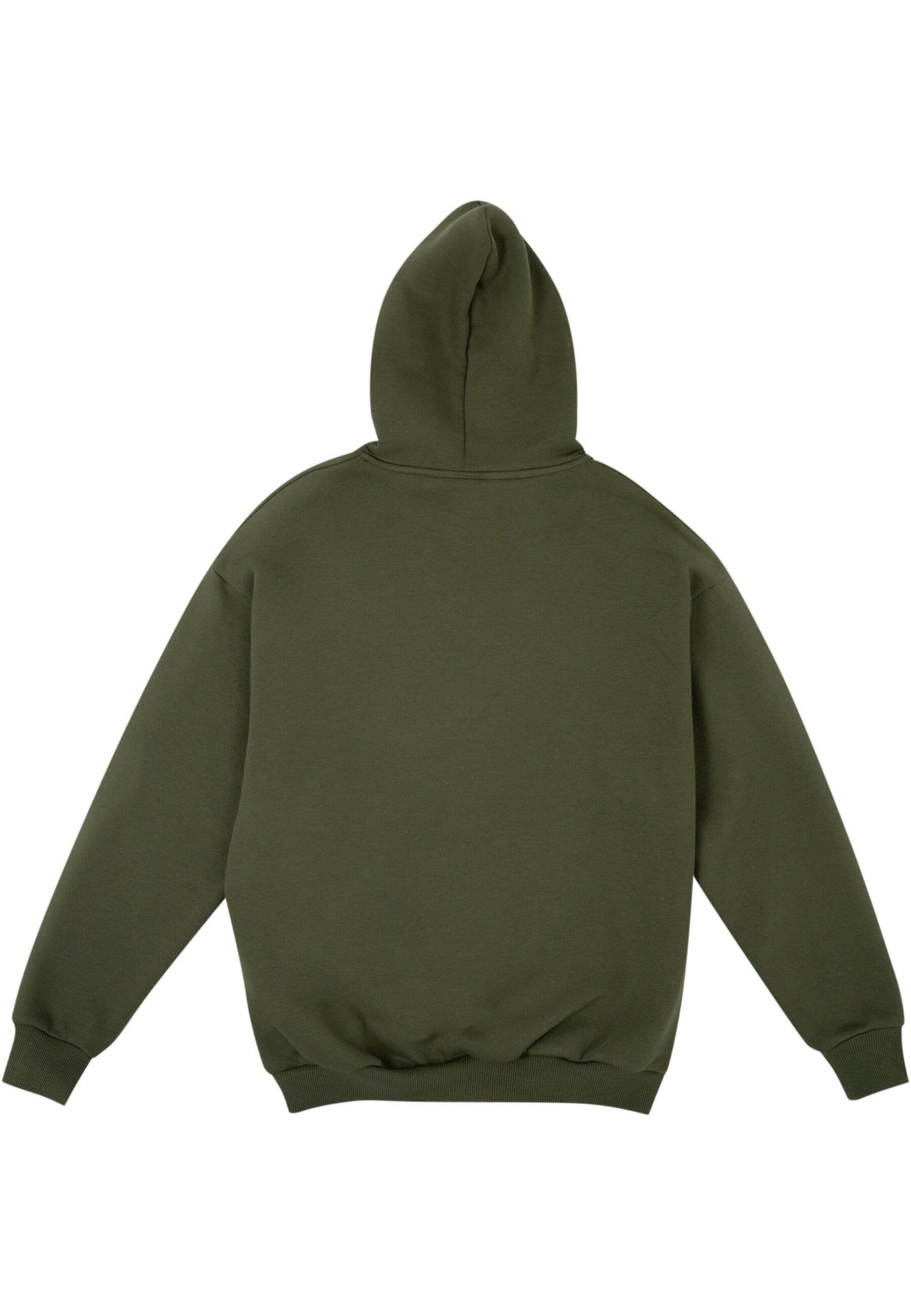 HOMEBOY Sweatshirt 'Pencil' in Green
