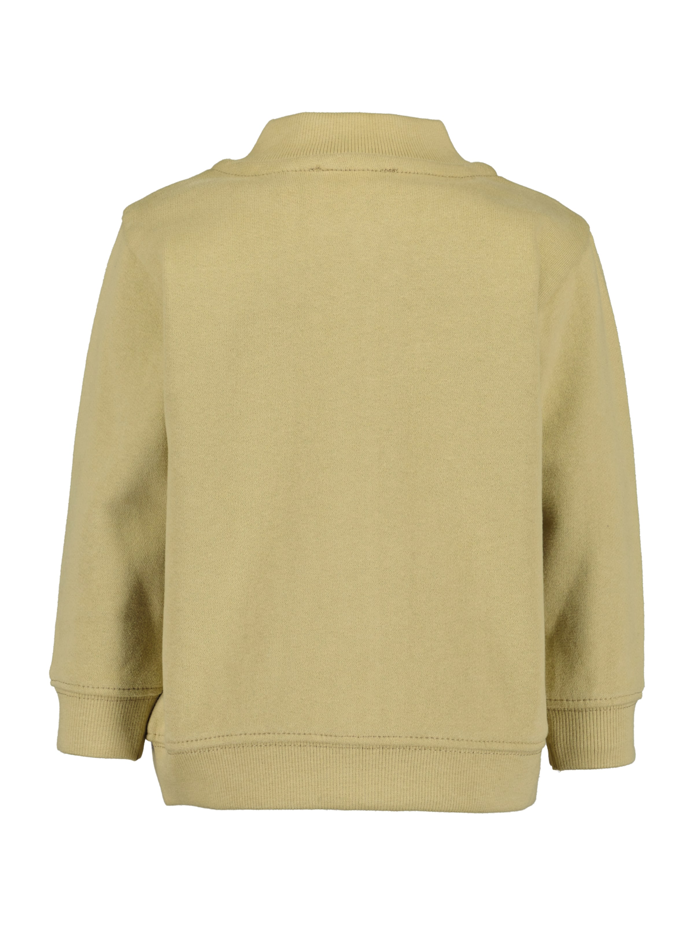 Giacca di felpa di BLUE SEVEN in verde