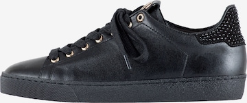 Högl Sneakers 'GLAMMY' in Black: front